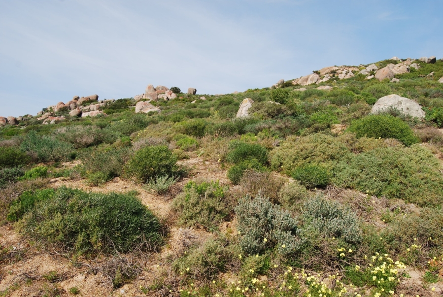 0 Bedroom Property for Sale in St Helena Views Western Cape